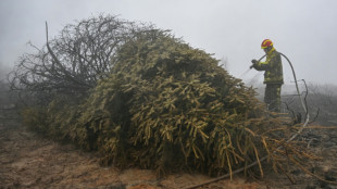 Incendie en Belgique: les habitants autoris&eacute;s &agrave; rentrer chez eux