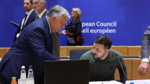 Orban a Kiev, nella prima visita in Ucraina 'parler&agrave; di pace'