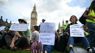 Más de 400 detenidos en una manifestación de apoyo en Londres a un grupo propalestino prohibido