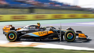 Norris upstages Verstappen as Ricciardo breaks hand in Dutch GP practice