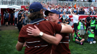 Europe used 'anti-fragile mentality' to cope with Cup hecklers