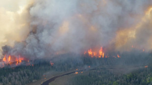 Waldbrände in Kanada verwüsteten in diesem Jahr schon Fläche von Größe Kroatiens