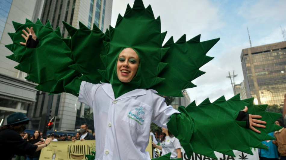Br&eacute;sil: un tribunal autorise trois patients &agrave; cultiver du cannabis &agrave; usage m&eacute;dical 