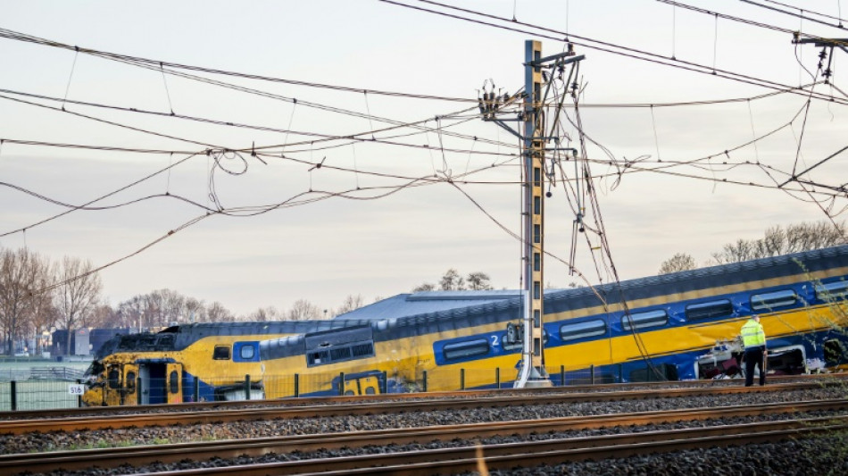Un muerto y 30 heridos en accidente de tren en Pa&iacute;ses Bajos (socorristas)
