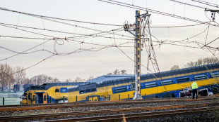 Un muerto y 30 heridos en accidente de tren en Pa&iacute;ses Bajos (socorristas)