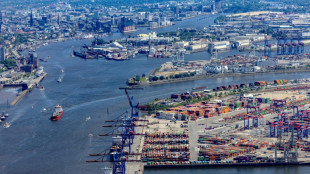 Deutsche Exporte 2024 erneut gesunken - Angst vor m&ouml;glichem US-Handelskrieg