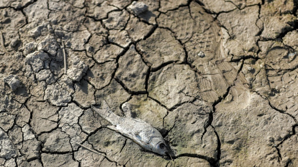 Portugiesen sowie Italiener und Deutsche sehen gr&ouml;&szlig;te Bedrohung im Klimawandel