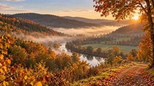 RNZ-Leser halten die Farben des Herbstes im Neckar-Odenwald-Kreis fest