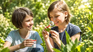 Wiener Kindergeburtstagsangebote reichen vom Gemeinschaftsgarten bis zum Sportplatz