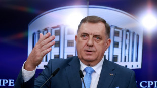 Orden de detenci&oacute;n internacional para el jefe pol&iacute;tico de los serbios de Bosnia