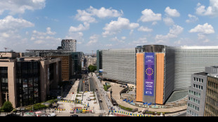 Bruxelles, '2 ipotesi per Kiev, prestiti Ue e asset russi'