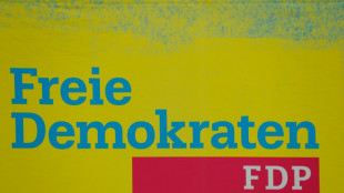 FDP bekr&auml;ftigt "rote Linien" angesichts der Etatberatungen 2024