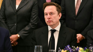 Musk adota tom desafiador perante amea&ccedil;as de investiga&ccedil;&atilde;o