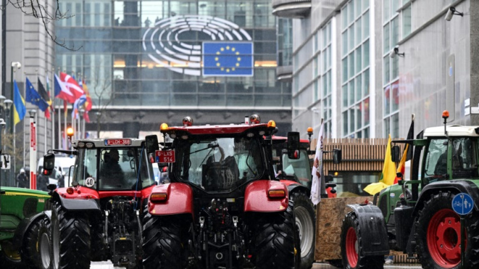 "Vision" f&uuml;r Landwirtschaft: Br&uuml;ssel will strengere Regeln f&uuml;r Lebensmittelimporte