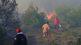 Incendi in Grecia, dal satellite immagini di una colonna di fumo di 70 km
