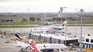 Serpente a bordo di un aereo in Australia, volo bloccato