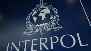 Westliche Verb&uuml;ndete fordern Ausschluss Russlands aus Interpol
