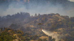 Turkey battles forest fires for third day 