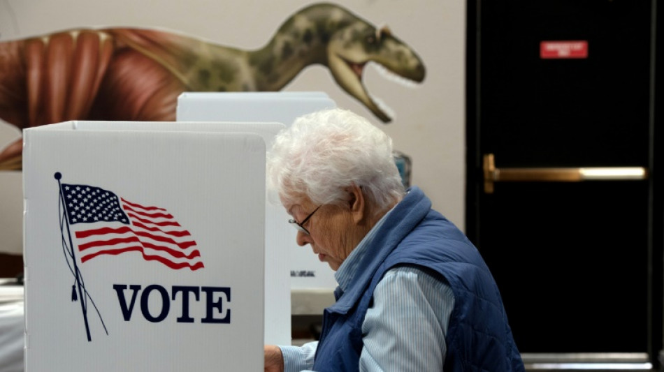 Les r&eacute;publicains bien plac&eacute;s mais pas de "vague rouge" aux &eacute;lections am&eacute;ricaines