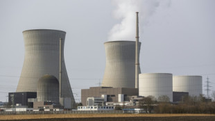 Atomm&uuml;ll-Beh&ouml;rde sieht Sicherheitsfragen bei l&auml;ngeren Akw-Laufzeiten