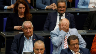 Bundesverfassungsgericht: Kein Anspruch von AfD auf Vorsitz von Bundestagsaussch&uuml;ssen