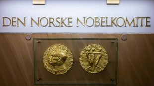 Knapp 300 Vorschl&auml;ge f&uuml;r diesj&auml;hrigen Friedensnobelpreis - Auch Trump wieder dabei