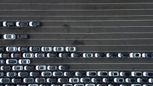 Usa, dazi al 15% su auto, prodotti farmaceutici e chip