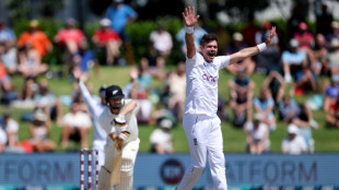 Anderson ready to miss Ireland Test in Ashes fitness bid