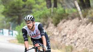 Vuelta: Molano gewinnt zw&ouml;lfte Etappe