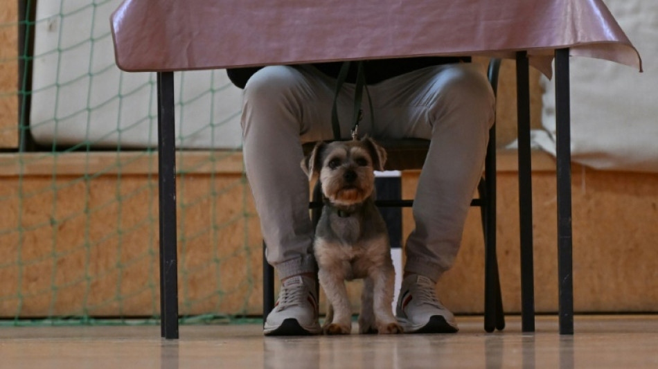Urteil: Sender darf Prognosen f&uuml;r kleine Parteien nach Wahl zusammenfassen