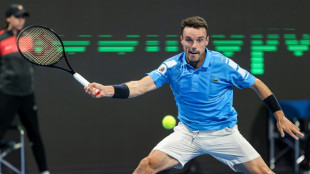 Bautista da el billete a Espa&ntilde;a para la fase de grupos de la Copa Davis