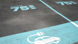 Voitures électriques: un nouveau bonus pour soutenir les ventes et la filière des batteries européennes