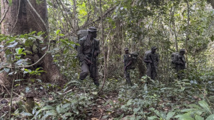 De braconnier &agrave; ranger: au Nigeria, le nouveau souffle de la for&ecirc;t d'Okomu