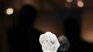 Botsuana steigt bei belgischem Diamantenh&auml;ndler HB Antwerp ein