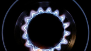 Il gas si avvicina ai 34 euro sulla piazza Ttf di Amsterdam