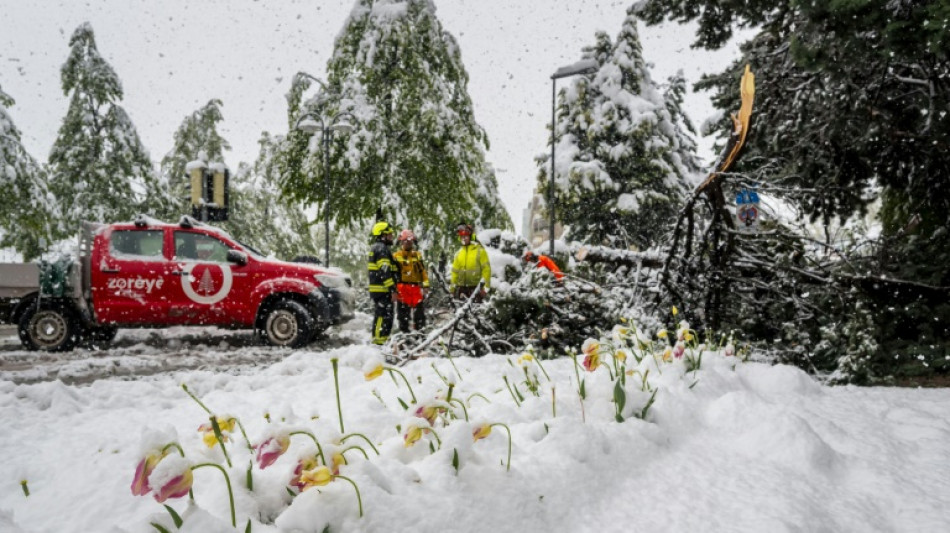 Heftige Schneef&auml;lle in den Alpen: Verkehrschaos in Italien, Frankreich und der Schweiz