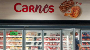 La carne brasile&ntilde;a, gran ausente de una lista europea sobre el respeto de las normas sanitarias