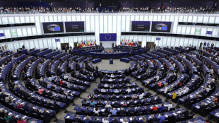L'Ue a Roma, 'rischi per libert&agrave; di stampa e indipendenza'
