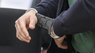 Angriffe auf Neonazis in Ungarn: Mutma&szlig;licher Linksextremist in Haft