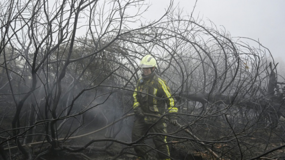 Waldbrand im belgischen Hohen Venn eingegrenzt - Lage bleibt aber "kompliziert"