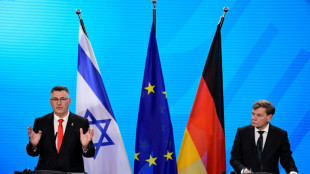El reconocimiento de un Estado palestino enviaría "una mala señal", según Alemania