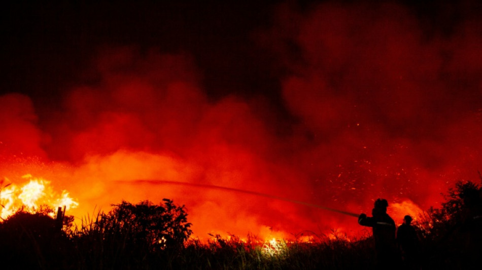 El cambio clim&aacute;tico obstaculiza la prevenci&oacute;n de incendios en EEUU, seg&uacute;n estudio