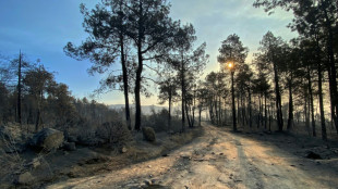 Espa&ntilde;a enfrenta d&iacute;as claves para frenar los incendios cerca de Madrid