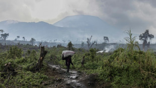 Mueren 50 hipopótamos en una reserva de África debido a una bacteria
