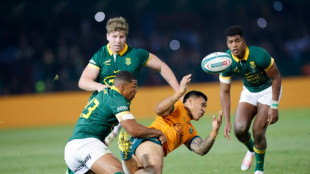 Stand-in Springboks skipper Vermeulen hails 'fantastic performance'