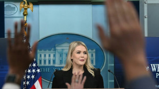 Wei&szlig;es Haus: USA werden Wiederaufbau von Gaza "nicht finanzieren"