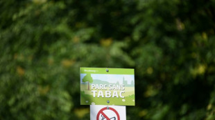 Plages, parcs, abords d'&eacute;cole... la cigarette interdite &agrave; compter du 1er juillet