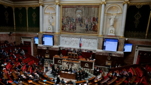 Feuille de route énergétique: Bayrou ménage le RN en repoussant la publication d'un décret