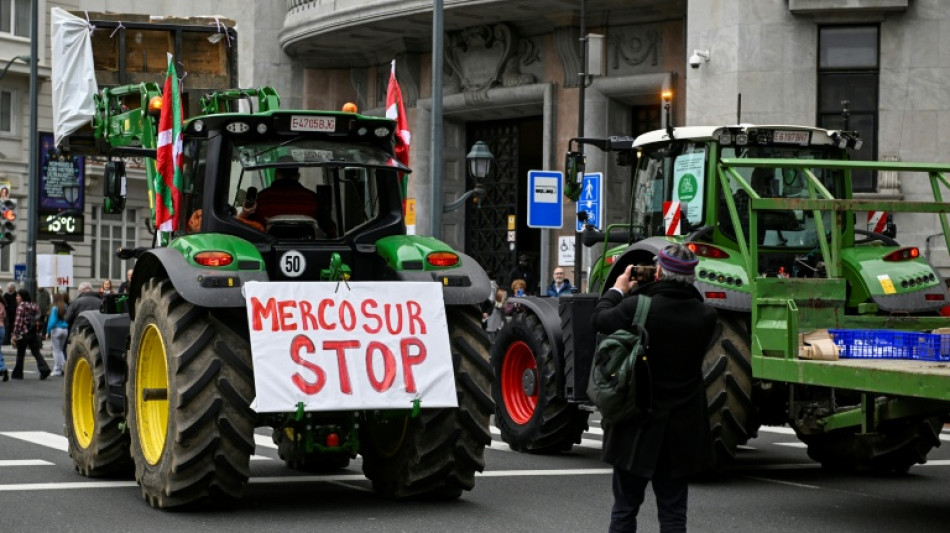 El Parlamento Europeo adopta salvaguardias para los agricultores en el acuerdo con Mercosur