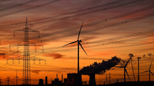 Bundesverwaltungsgericht: Regierung muss Klimaschutzprogramm nachbessern